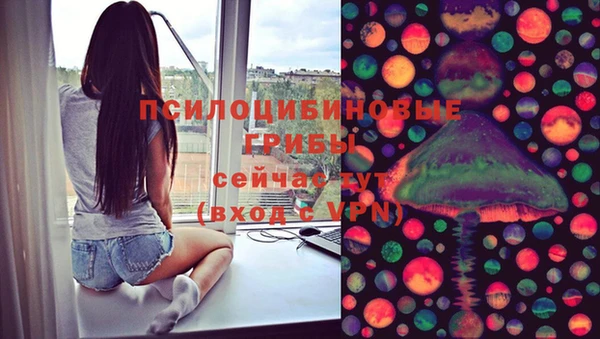 ГАЛЛЮЦИНОГЕННЫЕ ГРИБЫ Няндома