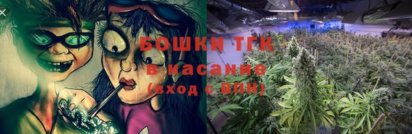 прущие грибы Новокубанск