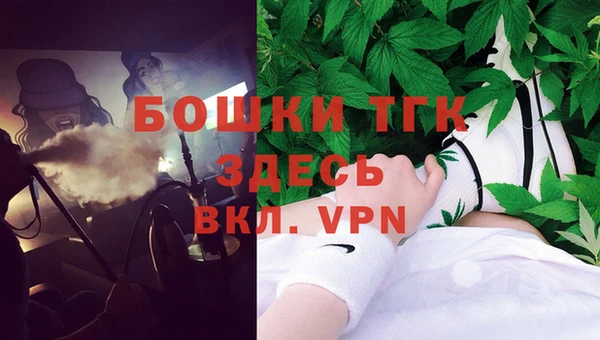 ГАЛЛЮЦИНОГЕННЫЕ ГРИБЫ Няндома