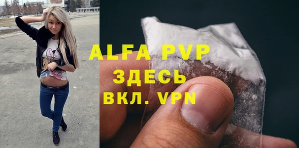 ГАЛЛЮЦИНОГЕННЫЕ ГРИБЫ Няндома