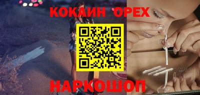 гашик Жуковский