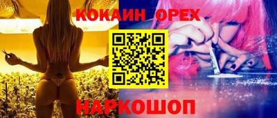 гашик Жуковский