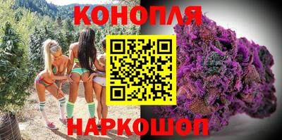 гашик Жуковский