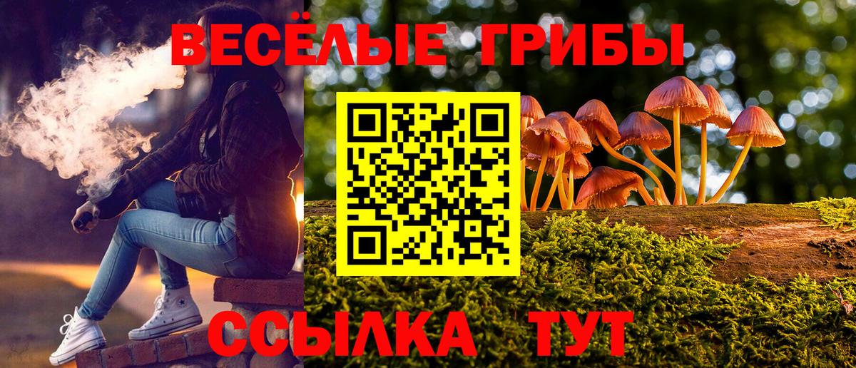 Галлюциногенные грибы Magic Shrooms  Вход с VPN  Кумертау 