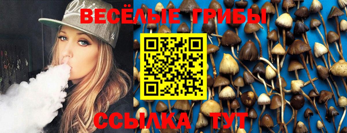 Галлюциногенные грибы Cubensis Кумертау